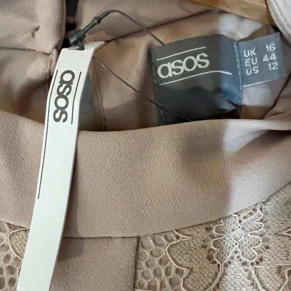 NWT ASOS Lace Panel Fit & Flare Dress Soft Taupe Beige/ Nude Beige Size US 12 - Picture 16 of 16